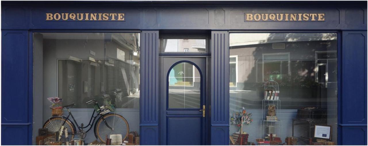 Le Bouquiniste, Centre Historique, Fibre, Ess, Rez-De-Chaussee, Bedinshop Роман-сюр-Изер Экстерьер фото